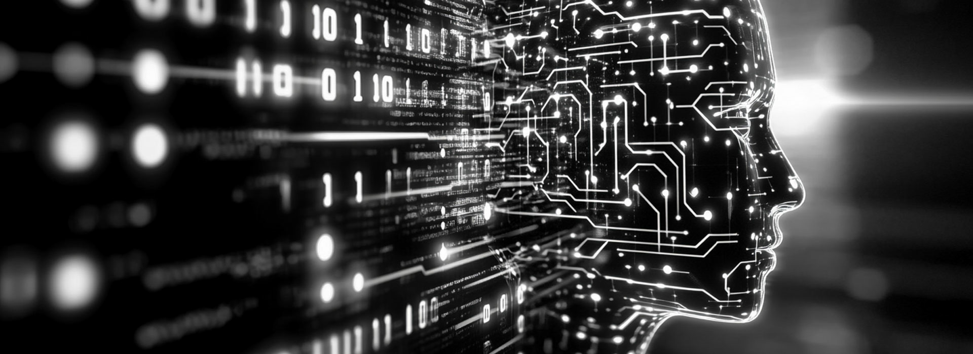 binary code and digital circuitry on the shape of a human head