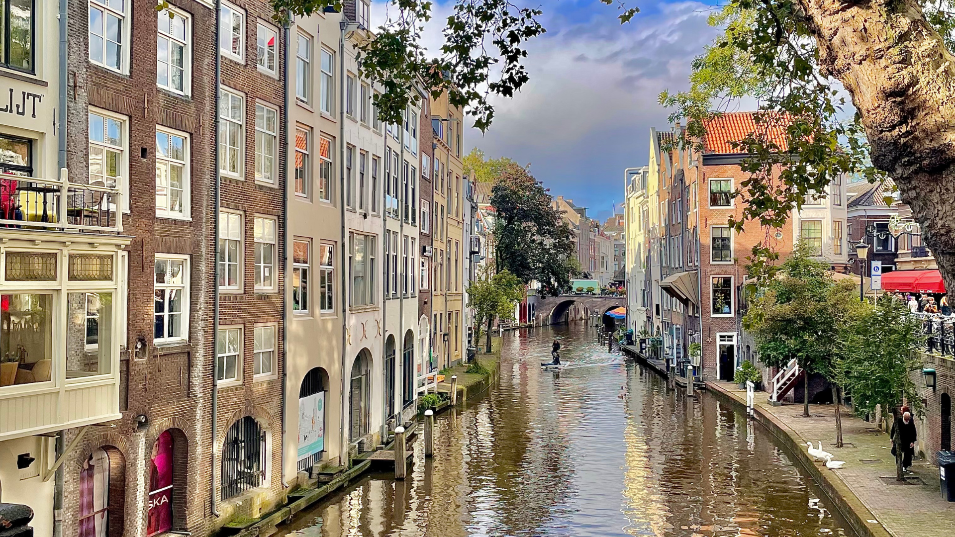 A canal in the Netherlands showing a stretch of water in the middle of the image. To the left is a line of tall, rectangular buildings that are flush with each other. To the right is a sidewalk beside the canal with two trees planted on it. Past this are more buildings along the canal that are flush with each other.